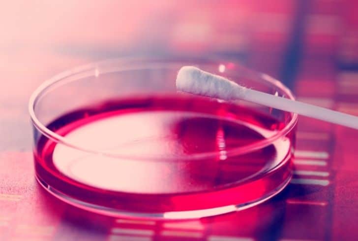 Q-Tips 是否可回收? Q-Tips 是否可回收?